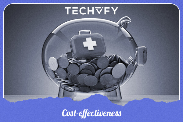 Cost-effective custom software