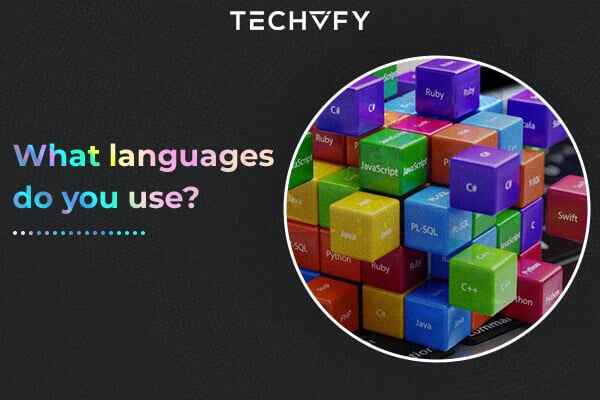 software development team