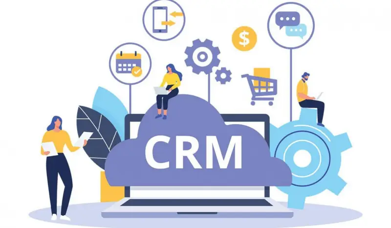 Custom CRM Development Cost