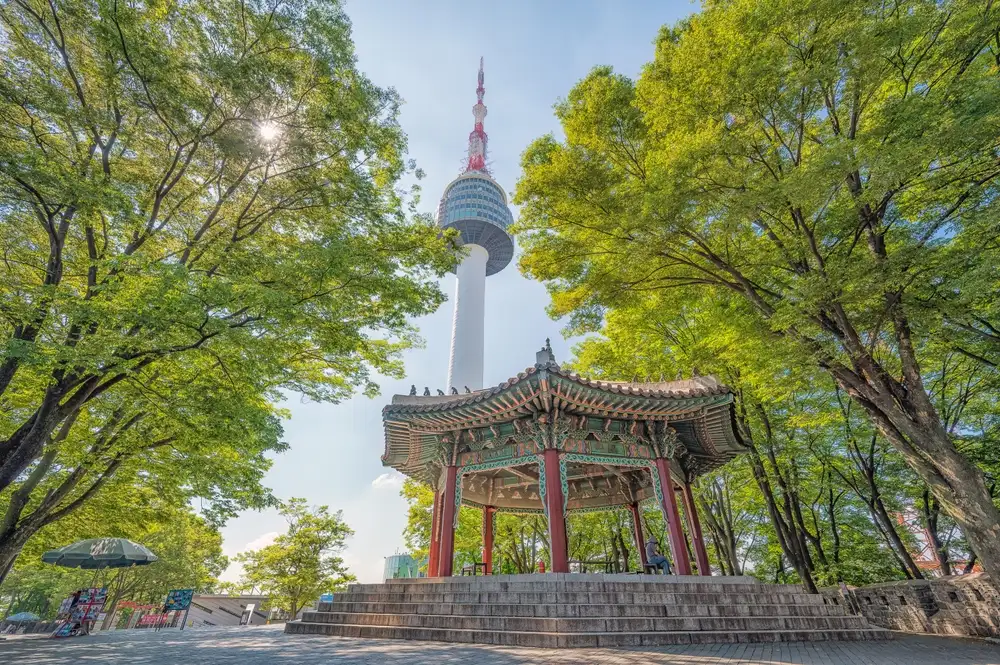 Techvify Korea