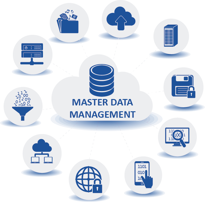 Master Data Management