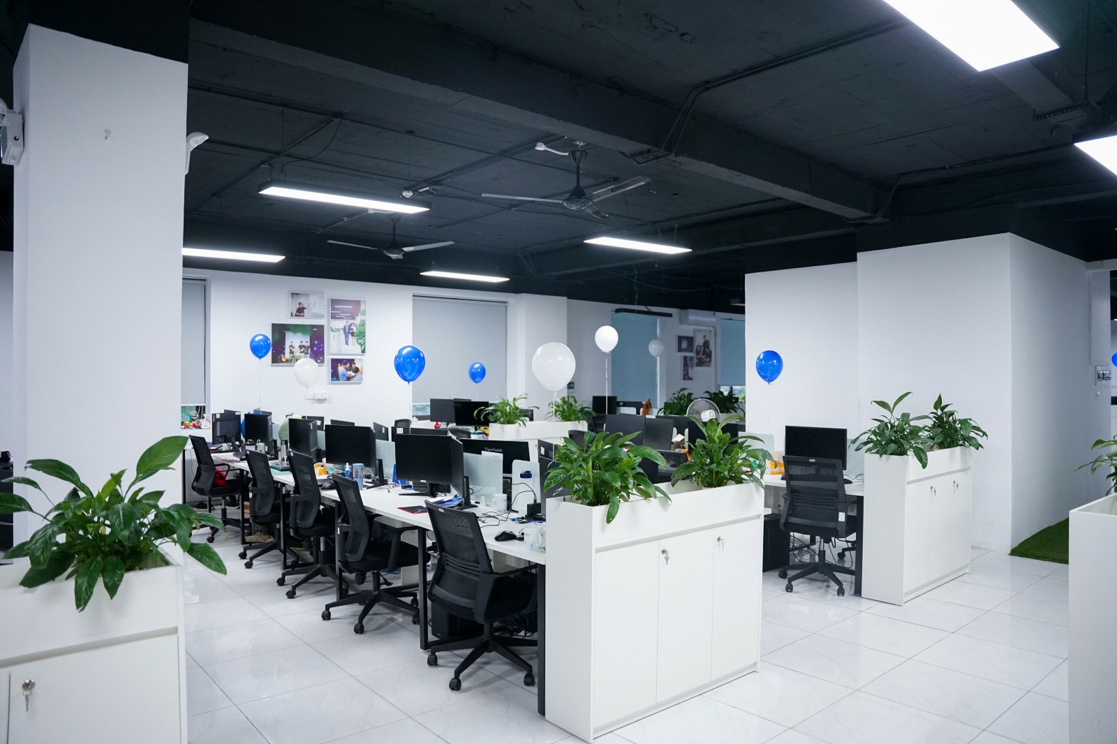 Techvify Men's Day decorations