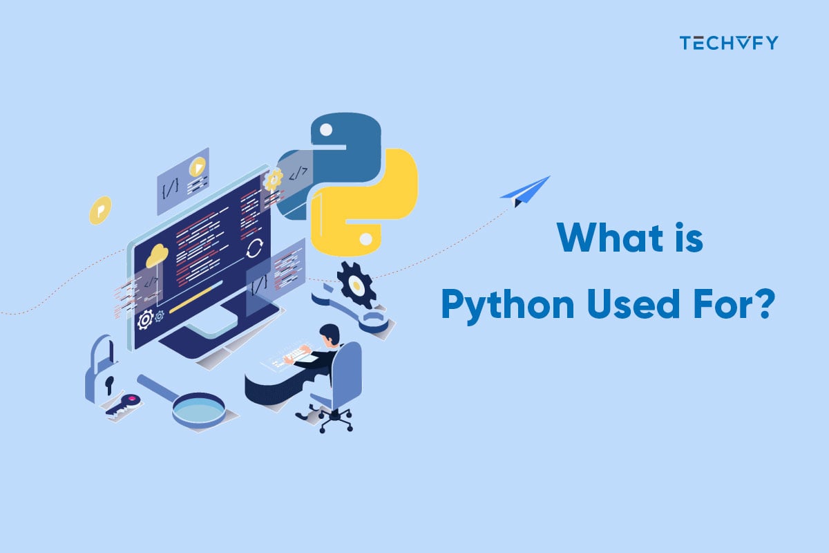 What is Python Used For? Everything You Should Know